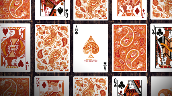79906-alt2 Paisley Ton sur Ton Poudre Orange Foil Designer's Choice