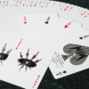 80144-alt4 Yuci Soul Black Playing Cards by TCC