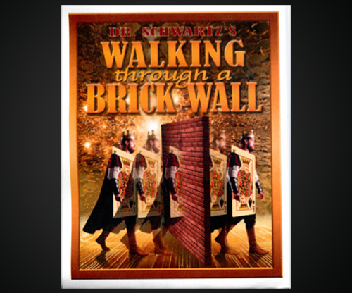 80809-full Walking Thru a Brick Wall by Martin Schwartz