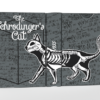 80938-full Schrodinger's Cat: Dead and Alive Edition Playing Cards