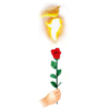 80996-alt1 Instant Rose by Vincenzo DiFatta