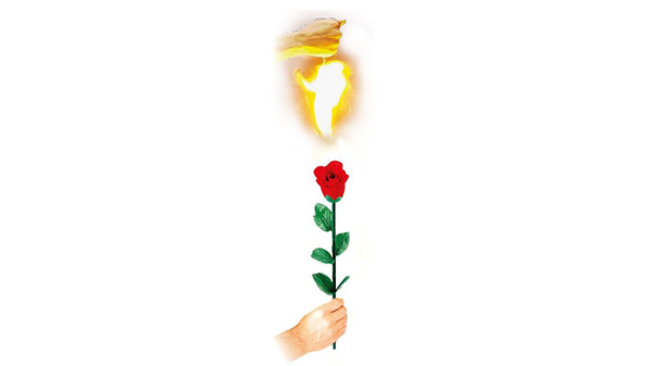 80996-alt1 Instant Rose by Vincenzo DiFatta