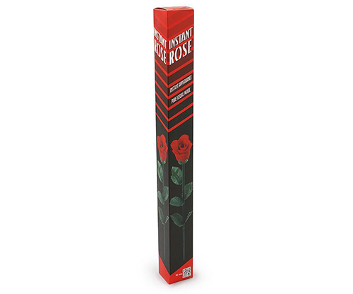 80996-full Instant Rose by Vincenzo DiFatta