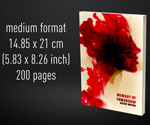 Babel Book Test 4 by Vincent Hedan (Memory of tomorrow), medium, 600 pages