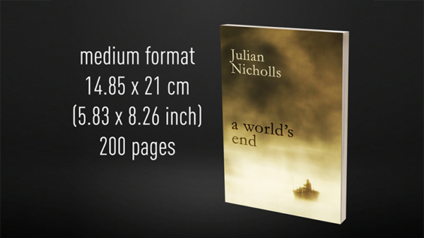 81023-full Babel Book Test 6 by Vincent Hedan (A World's End), medium, 200 pages