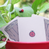 Lucky Ladybug (Log) by Joshua Ray & Deuce Gala Magic