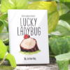 Lucky Ladybug (Log) by Joshua Ray & Deuce Gala Magic