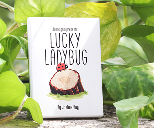 75430-alt5 Lucky Ladybug (Log) by Joshua Ray & Deuce Gala Magic