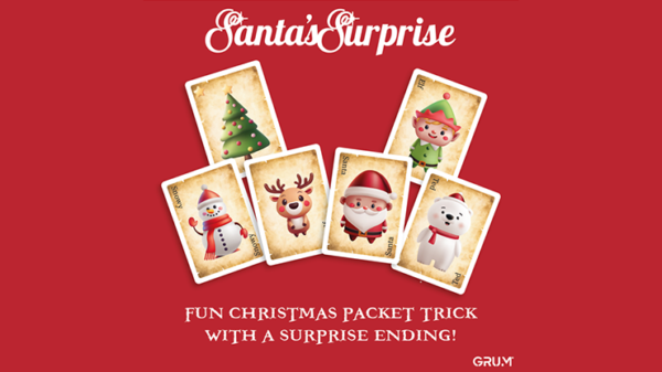 80995-alt1 Santa's Surprise (Close Up)