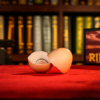 Ring To Egg Original by ILLUWIZARD PRESENTS