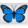 81101-alt1 Omni Butterfly by Hyde Ren & Bacon Magic