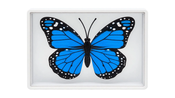 81101-alt1 Omni Butterfly by Hyde Ren & Bacon Magic