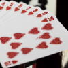 81117-alt5 THE TEXAS CHAINSAW MASSACRE™ PLAYING CARDS