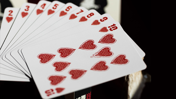 81117-alt5 THE TEXAS CHAINSAW MASSACRE™ PLAYING CARDS