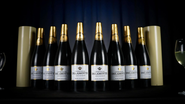 81186-full Miracle Wine Bottles Champagne Model Complete Set with Case by TCC Magic