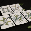 81208-alt1 Mosaic Mantis Playing Cards