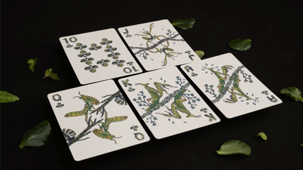 81208-alt1 Mosaic Mantis Playing Cards