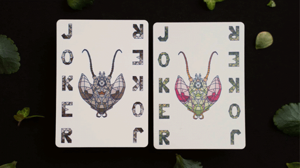 81208-alt2 Mosaic Mantis Playing Cards