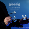 81237-alt2 Magic Bones by Leonardo Arvelaez