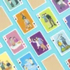 A Deck of Us