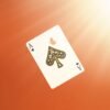The Orange Tree Deck (Two Decks : One to Use, One to Keep) By Hau Jiun