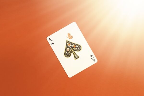 The Orange Tree Deck (Two Decks : One to Use, One to Keep) By Hau Jiun