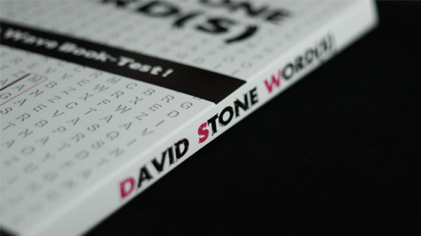 49753-alt3 David Stone's Words (English Version)