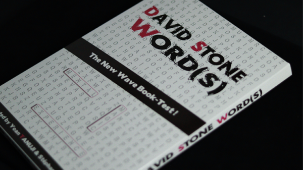 49753-alt4 David Stone's Words (English Version)