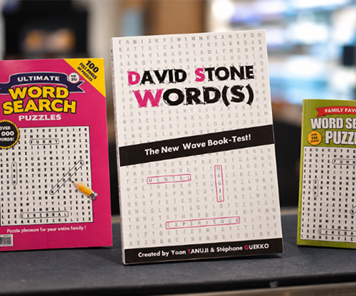 49753-full David Stone's Words (English Version)