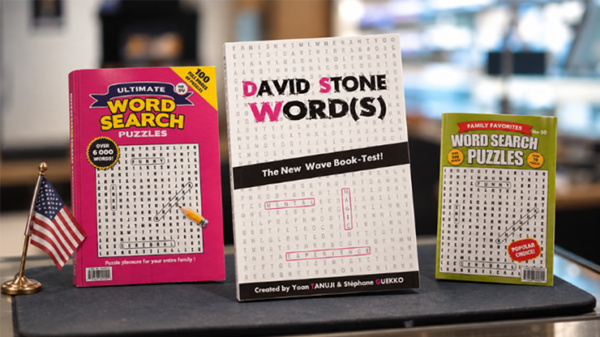 49753-full David Stone's Words (English Version)