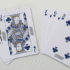 Georgia Southern Playing Cards