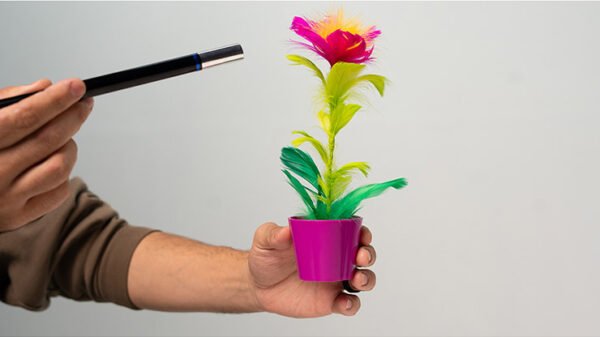 80669-alt3.png Miracle Wand to Flower by Murphy's Magic