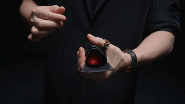 81084-alt1 Sparrow Wallet by Steven Ng, Chris James & TCC Magic