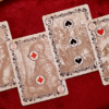81288-alt1 Wars of the Roses (2nd Edition, Standard) Playing Cards